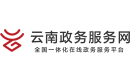 云南政务服务网官网